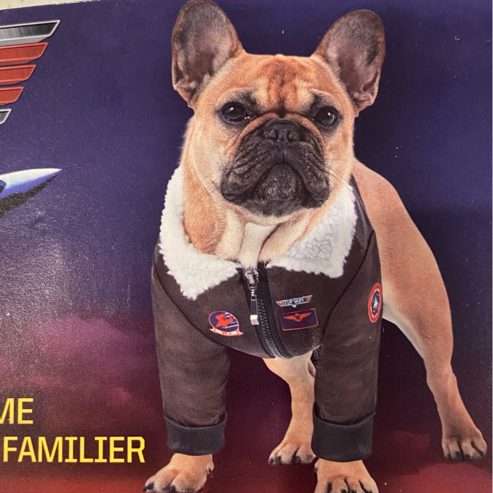 NWOT TOP GUN Maverick Officially Licensed Rubies Dog Halloween Costume S/XS Pup - Picture 5 of 8